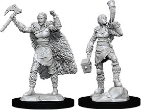 Human Barbarian Female (Nolzurs - W12)